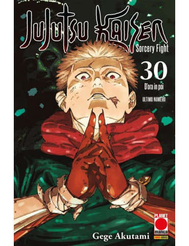 Jujutsu Kaisen – Sorcery Fight 30