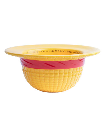 One Piece 3D Bowl Straw Hat