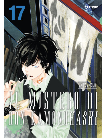 Il Mistero di Ron Kamonohashi 17