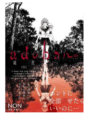 ADABANA 2