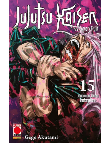 JUJUTSU KAISEN SORCERY FIGHT 15
