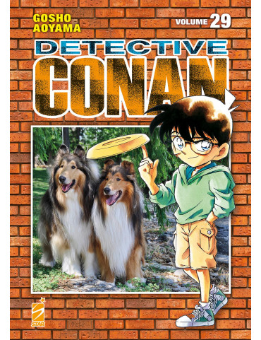 Detective Conan - New Edition 29