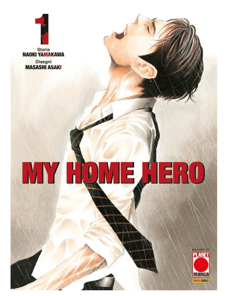 My Home Hero 1