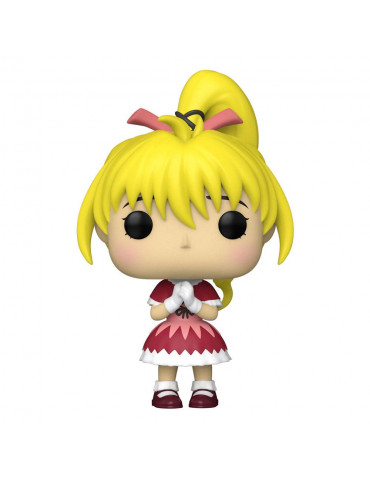 Hunter x Hunter POP! Animation Vinyl Figure Biscuit 9 cm