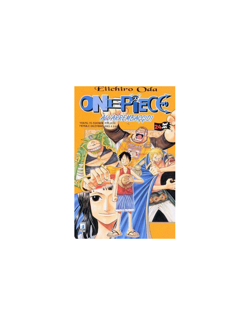 One Piece 24