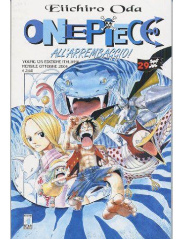 One Piece 29