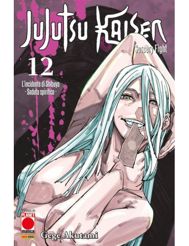 Jujutsu Kaisen – Sorcery Fight 12