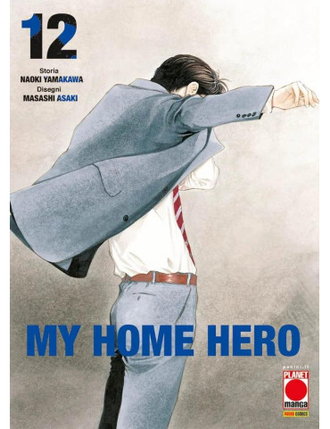 My home hero 12