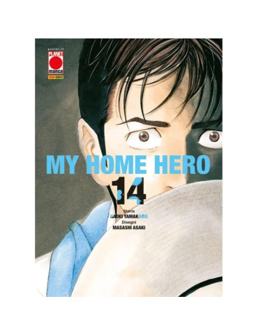 My home hero 14