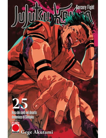 Jujutsu Kaisen – Sorcery Fight 25