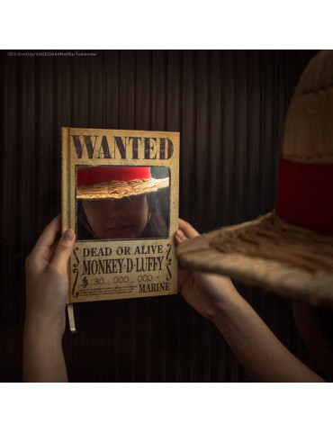 One Piece Notebook Wanted