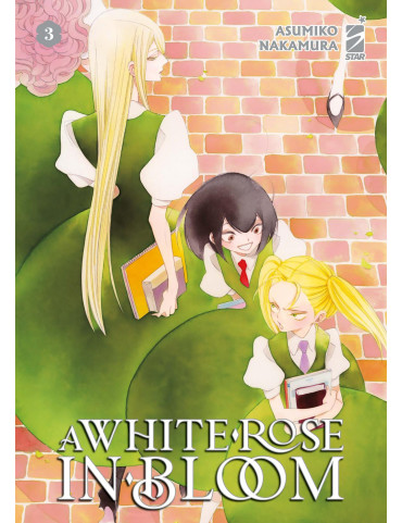 A White Rose in Bloom 3
